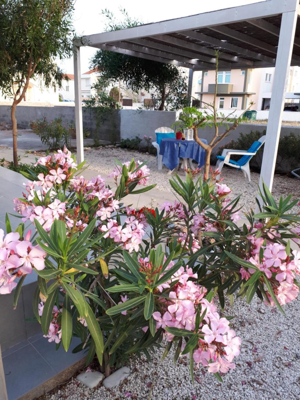 Cozy Beach House เปร์โวเลีย ภายนอก รูปภาพ
